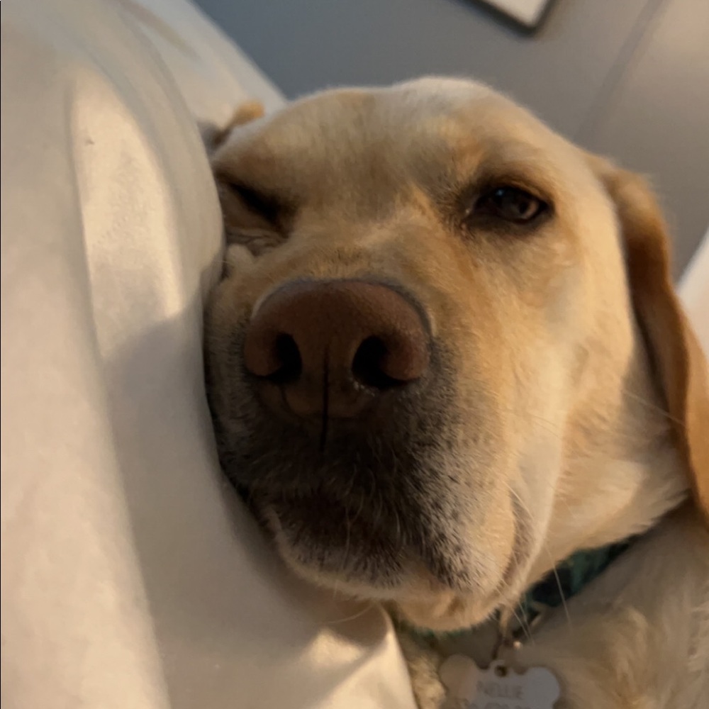 Meet your Posher, Colby